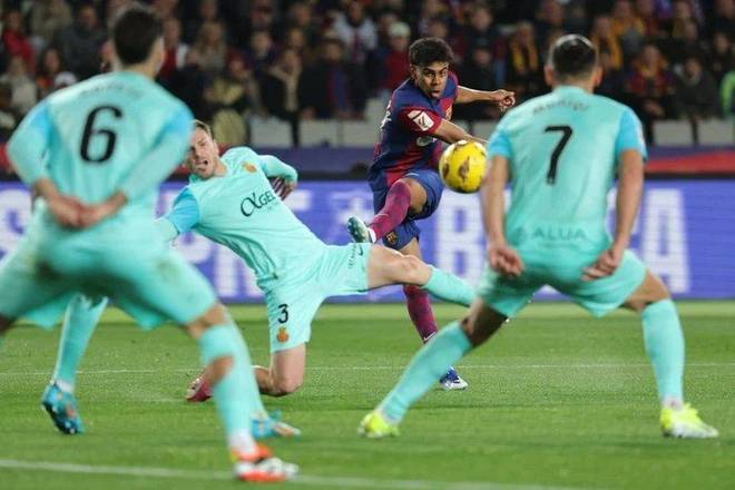 角色与稳定 角色与稳定